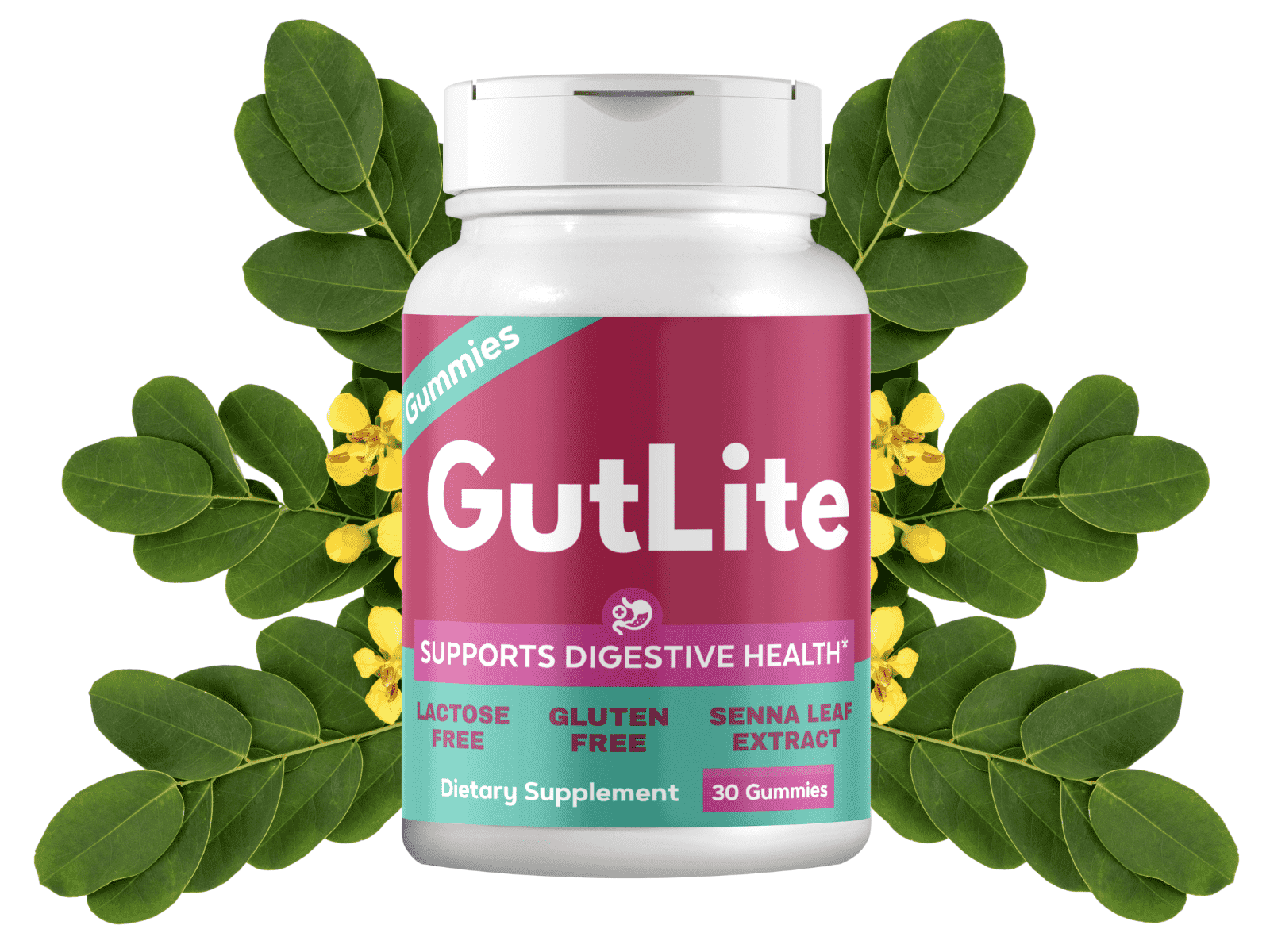 GutLite gut support